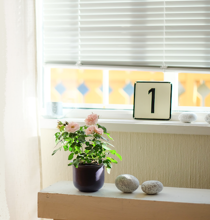 white aluminium blind in a living room